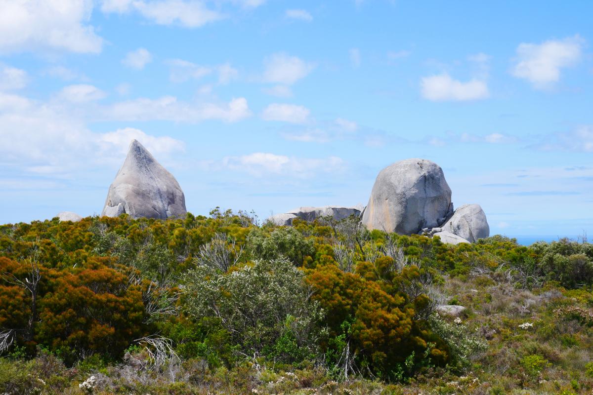 large granite boulders on hill covered with green plants