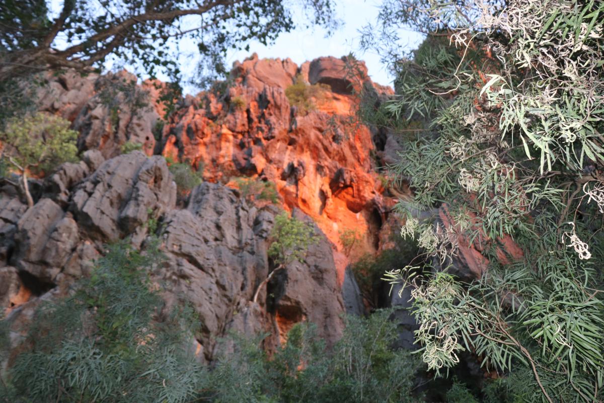 towering red granite rocks with native trees at the base