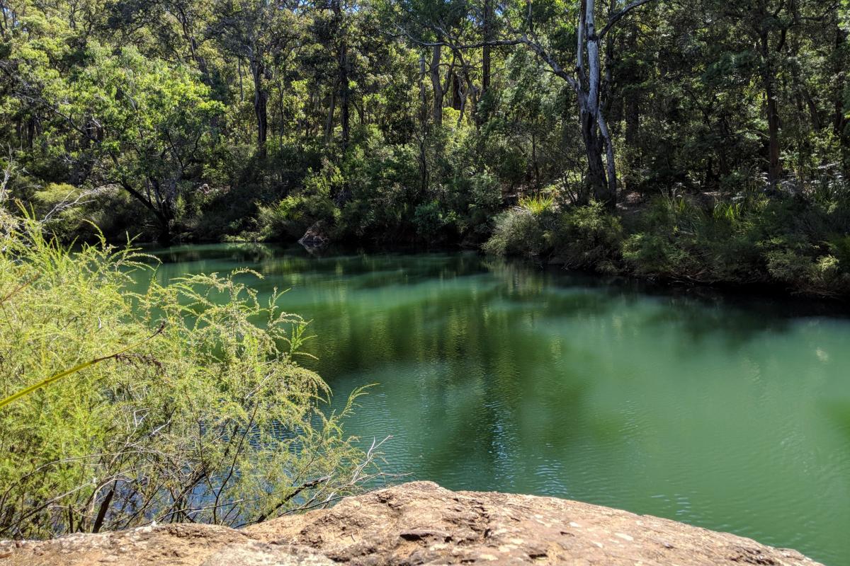 Natural river pool in the forest