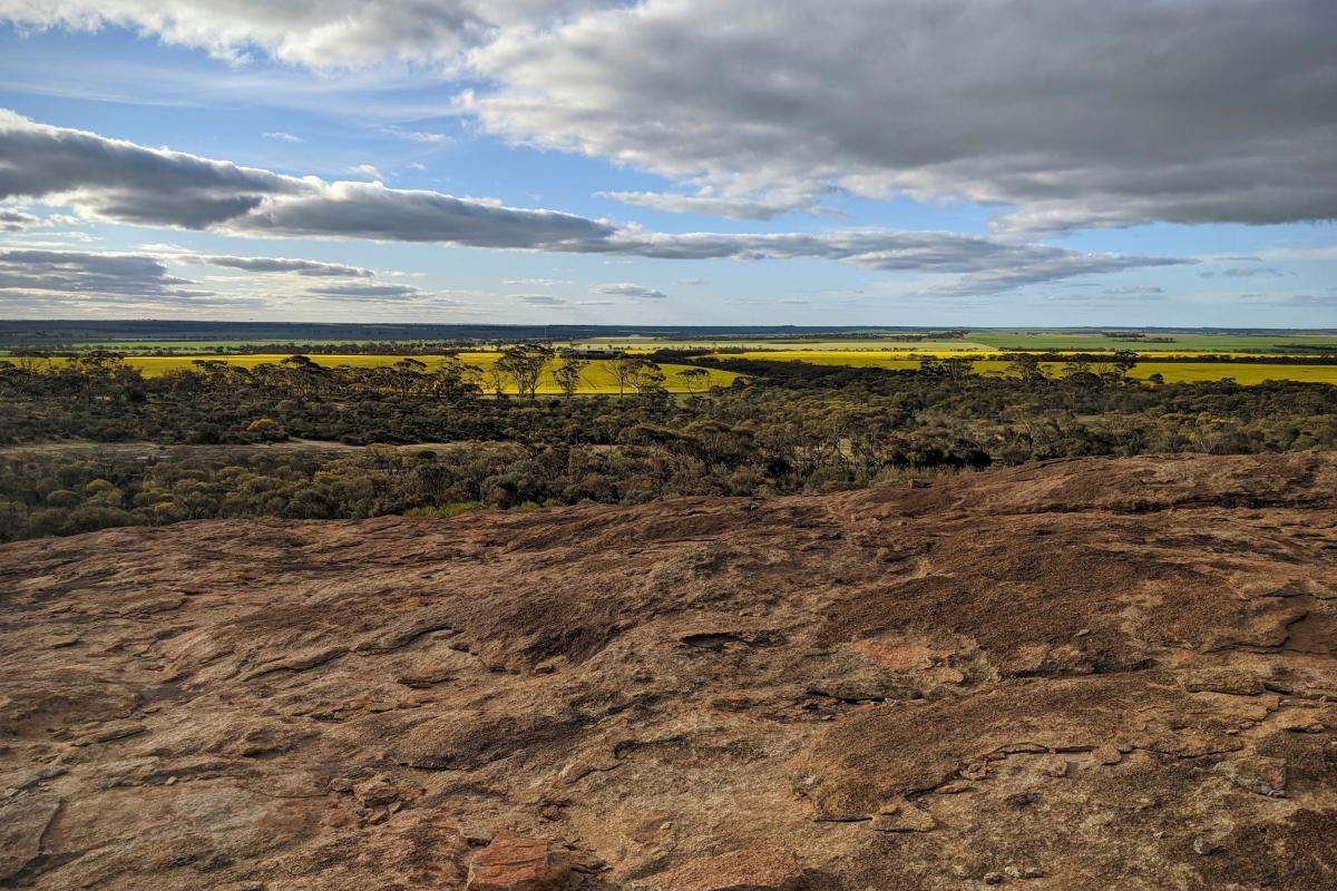 View across the granite towards distant canola fields