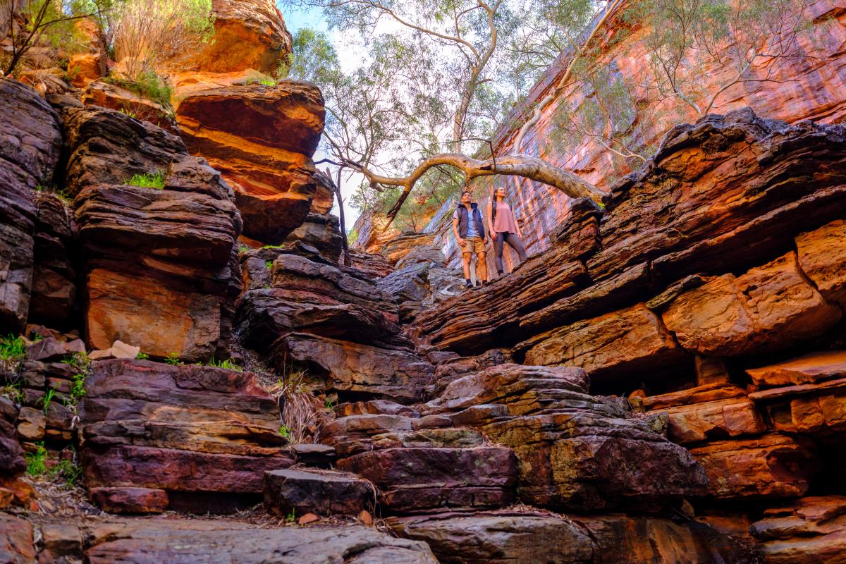 Visitors standing on top of layered rocks in a gorge with high walls