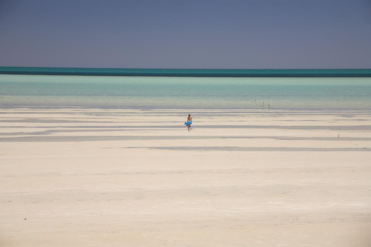 Shark Bay Marine Park Woman walking on stretch of white sand with clear blue water in the distance
