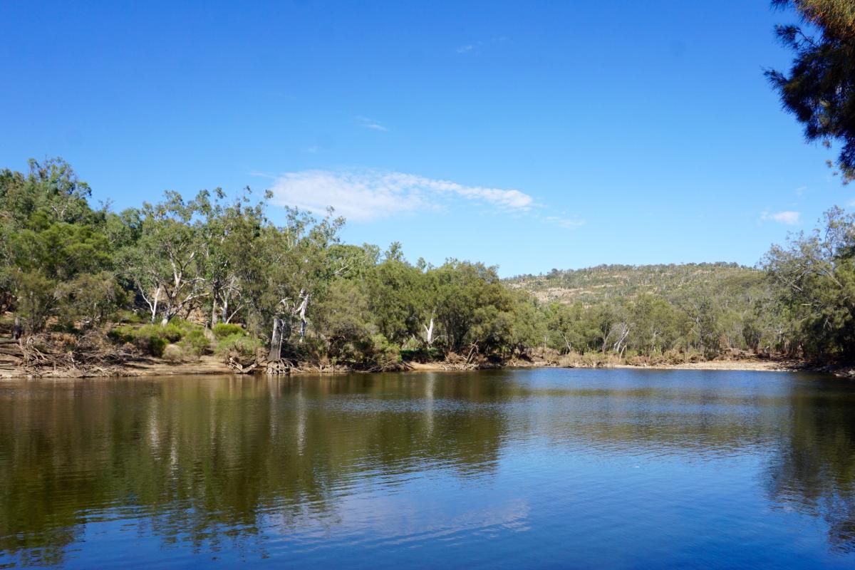 Walyunga Pool, Walyunga National Park Clear water of the Avon River in Walyunga National Park