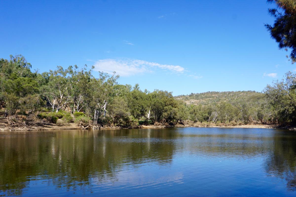 Clear water of the Avon River in Walyunga National Park