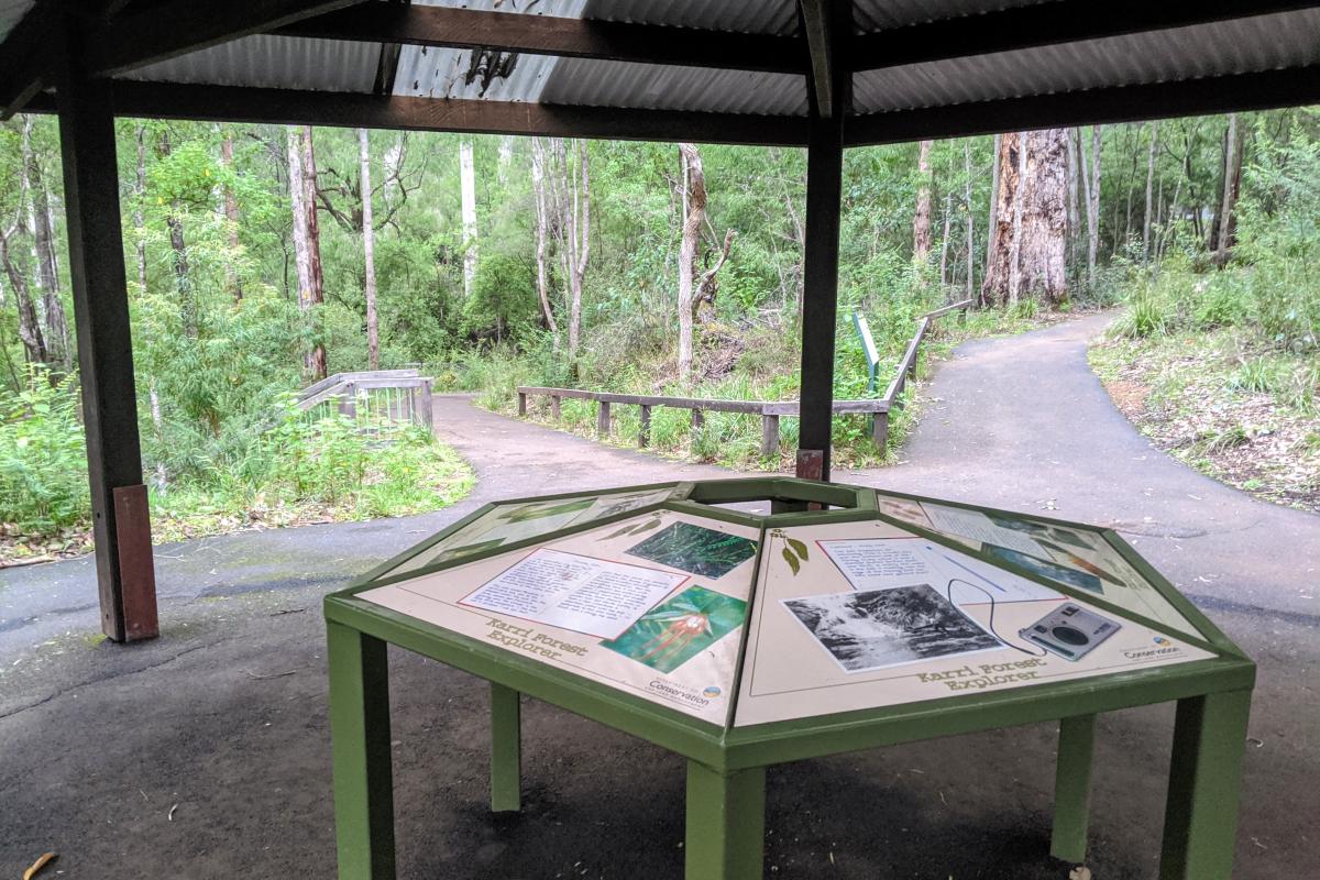 Information shelter at Beedelup Falls