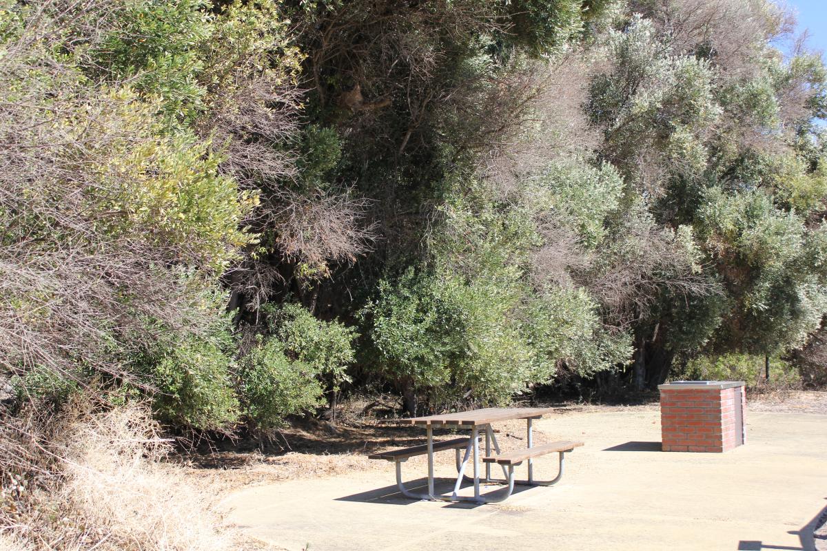 picnic table and bbq at belvidere