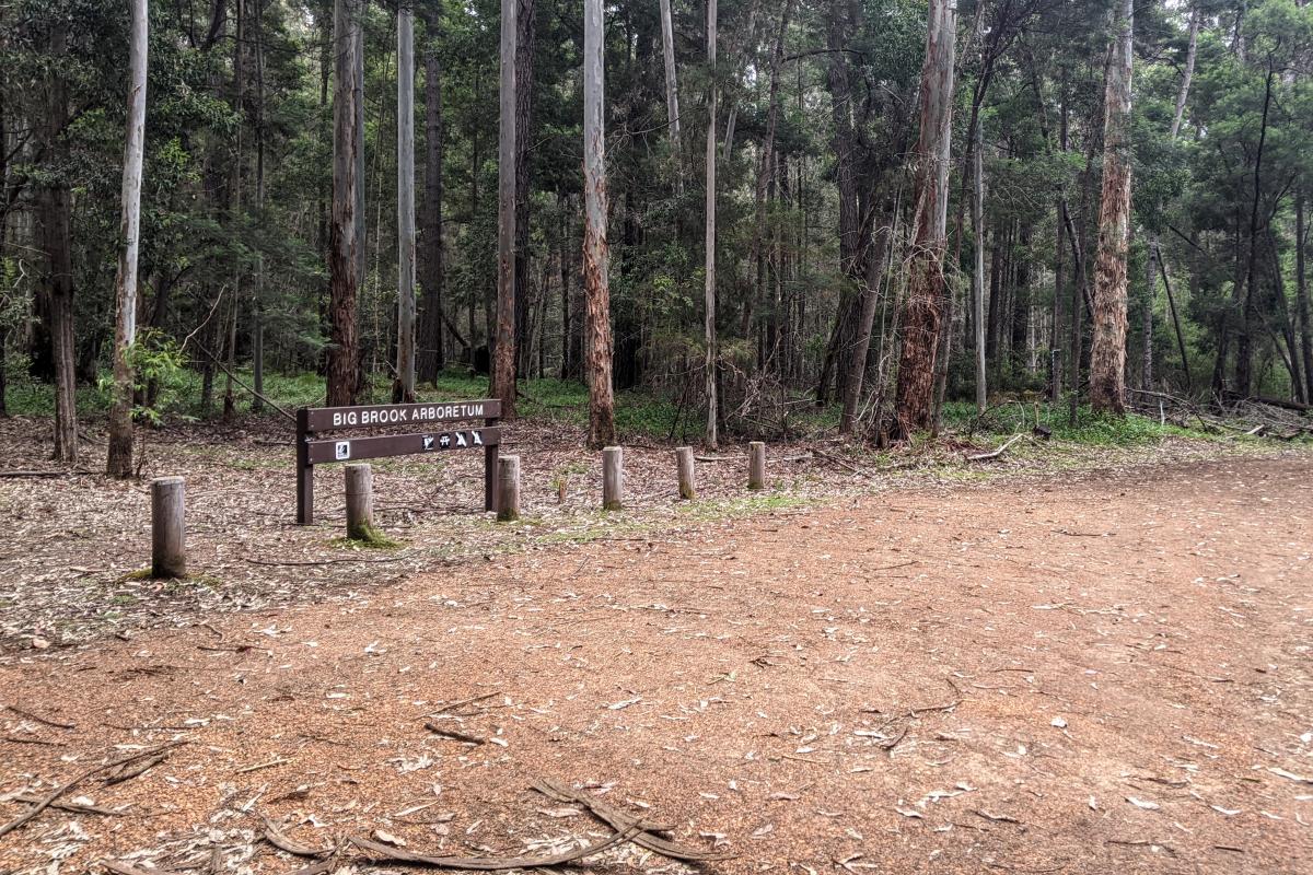 Gravel carpark at Big Brook Arboretum