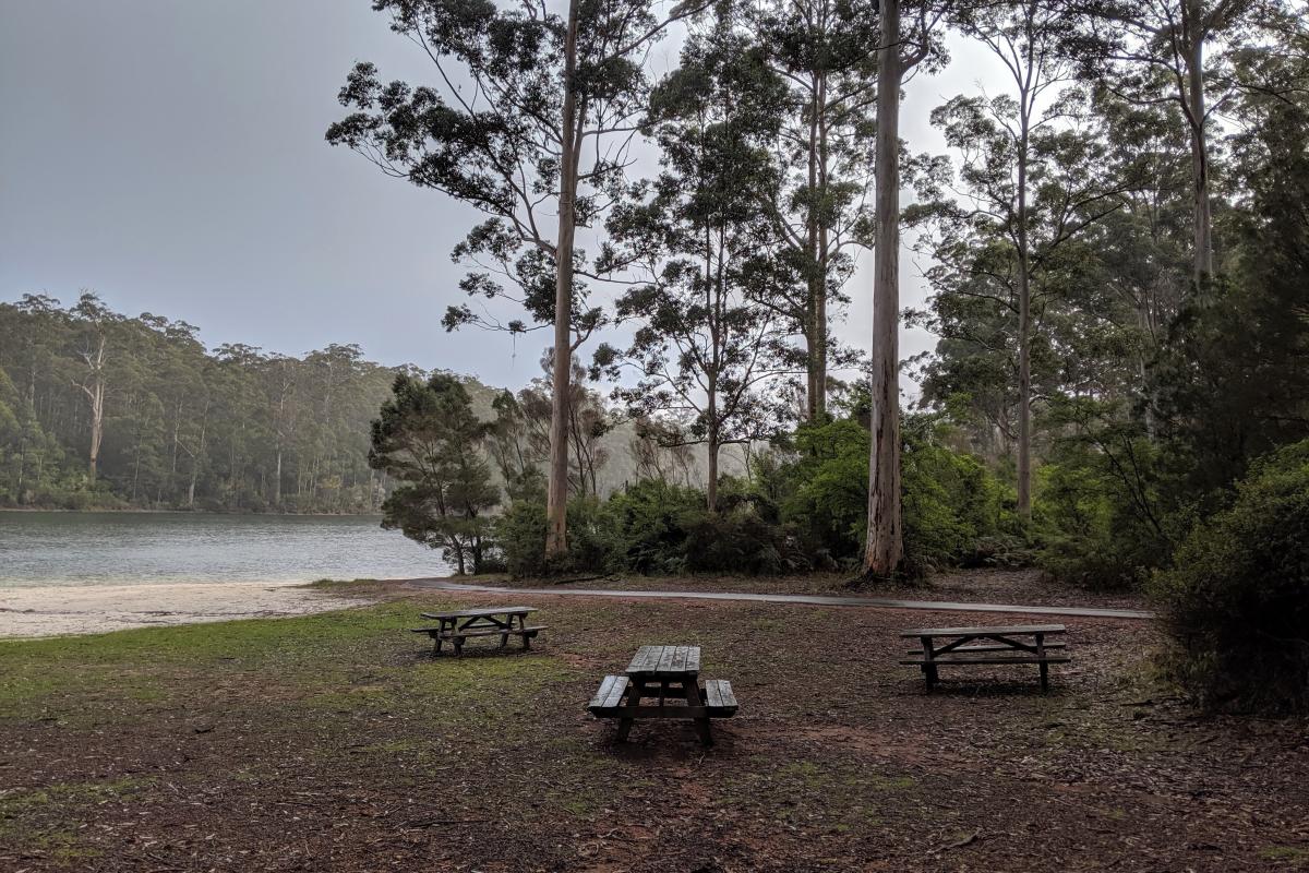 3 picnic tables in a clearing next to tall Karri forest and a white sandy beach at Big Brook Dam