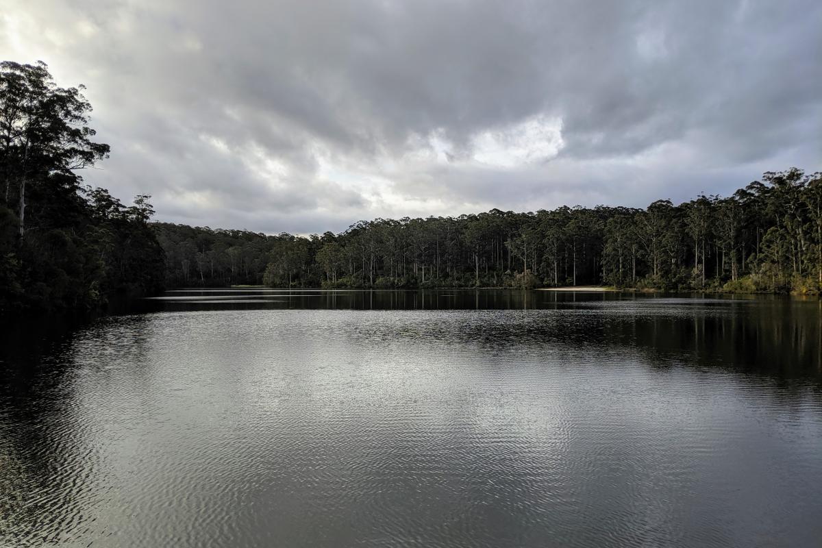 Big Brook Dam surrounded by Karri forest under a cloudy sky, viewed from the dam wall