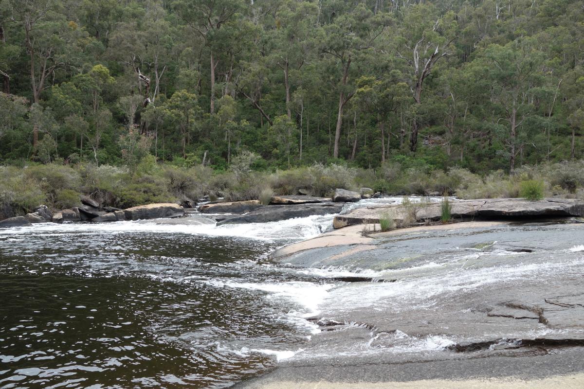 river flowing over big rock slabs of granite with forest in the background