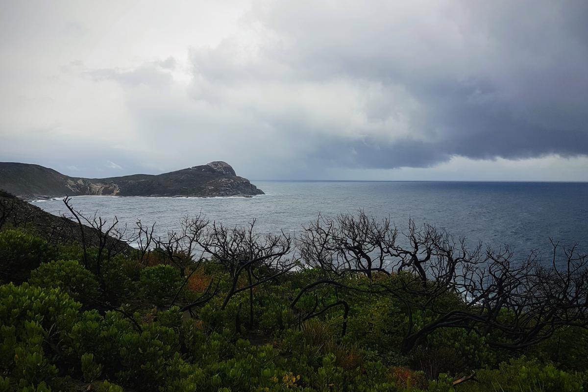 View of Peak Head from near the Blowholes