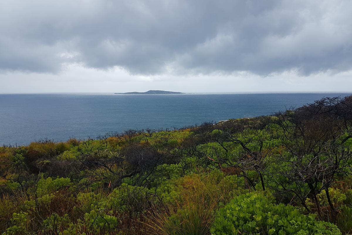 View of the ocean and Eclipse Island from the Blowholes track