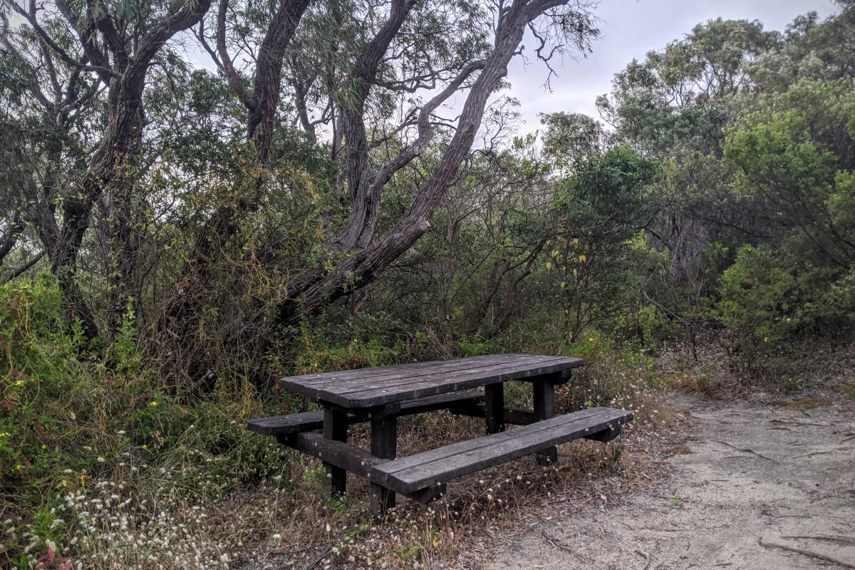 One of the picnic benches at Boranup Lookout