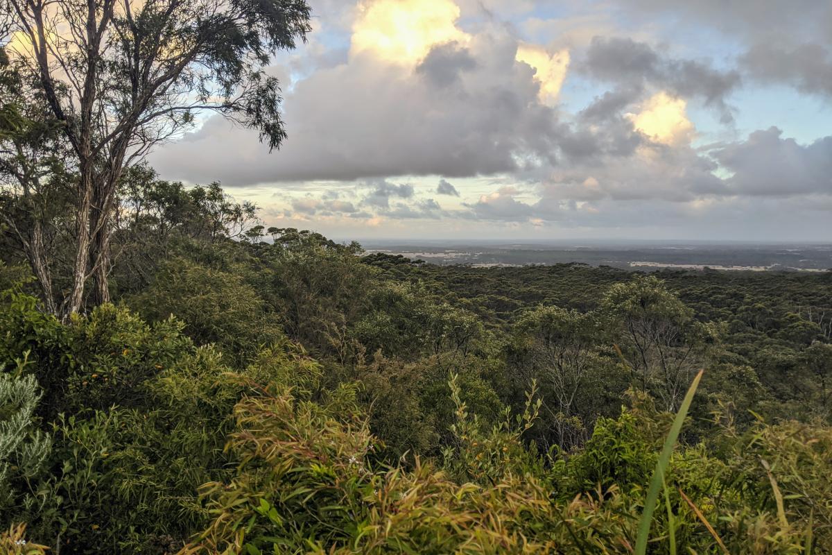 An inland/southerly view from Boranup Lookout