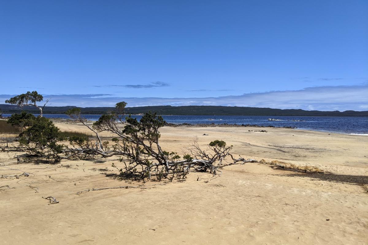 views over broke inlet with forest in the background