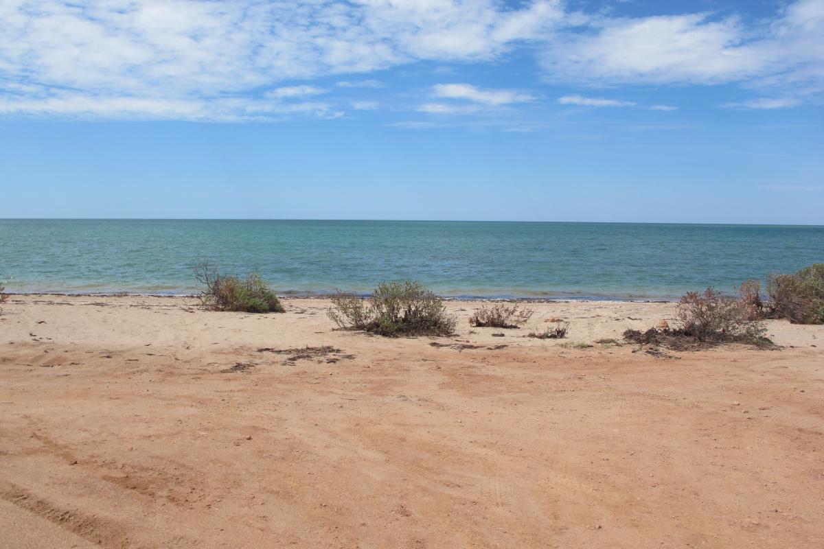 Beach with red sand and clear blue water