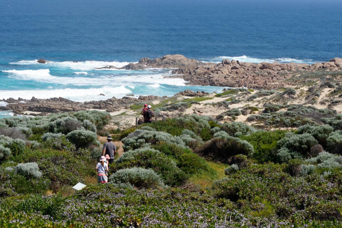 rocky coastline with blue ocean