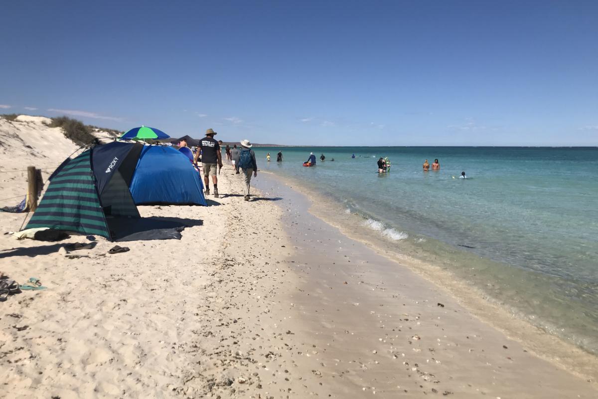 people with shade shelters on the beach next to a calm ocean