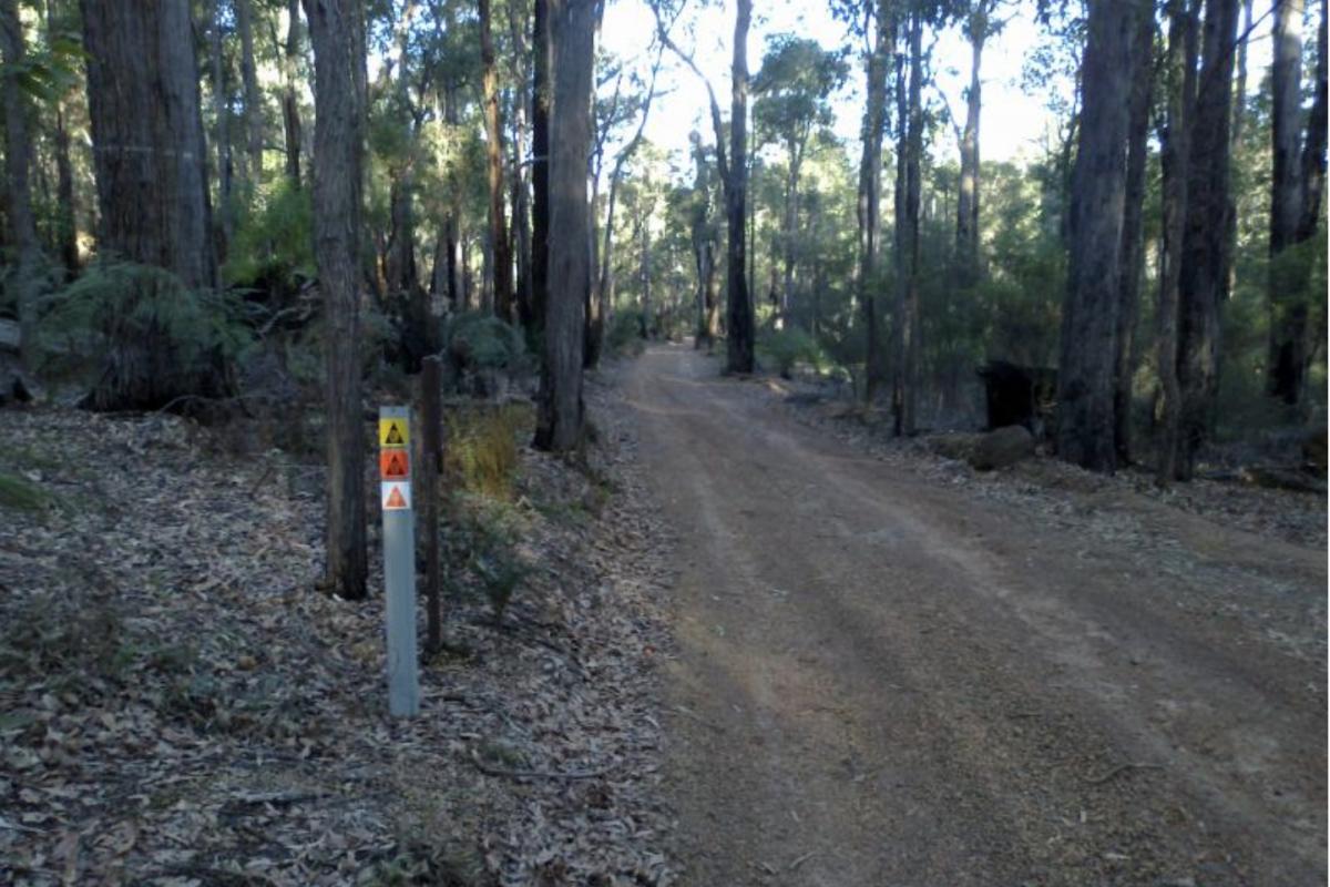 Captain Fawcett four wheel drive track. dirt road on the four wheel drive track in lane poole reserve