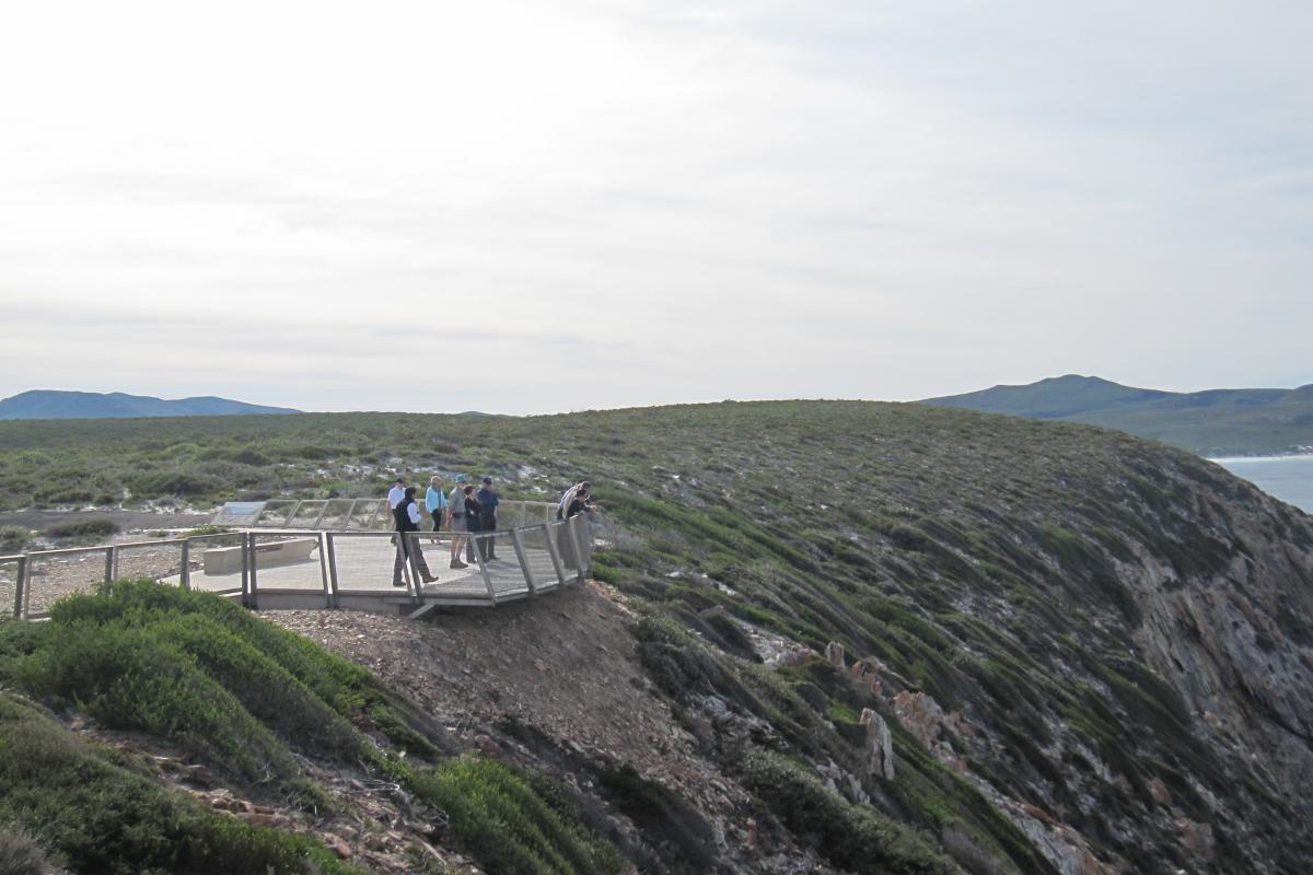 group of people on a viewing platform looking down a steep coastal cliff to the sea