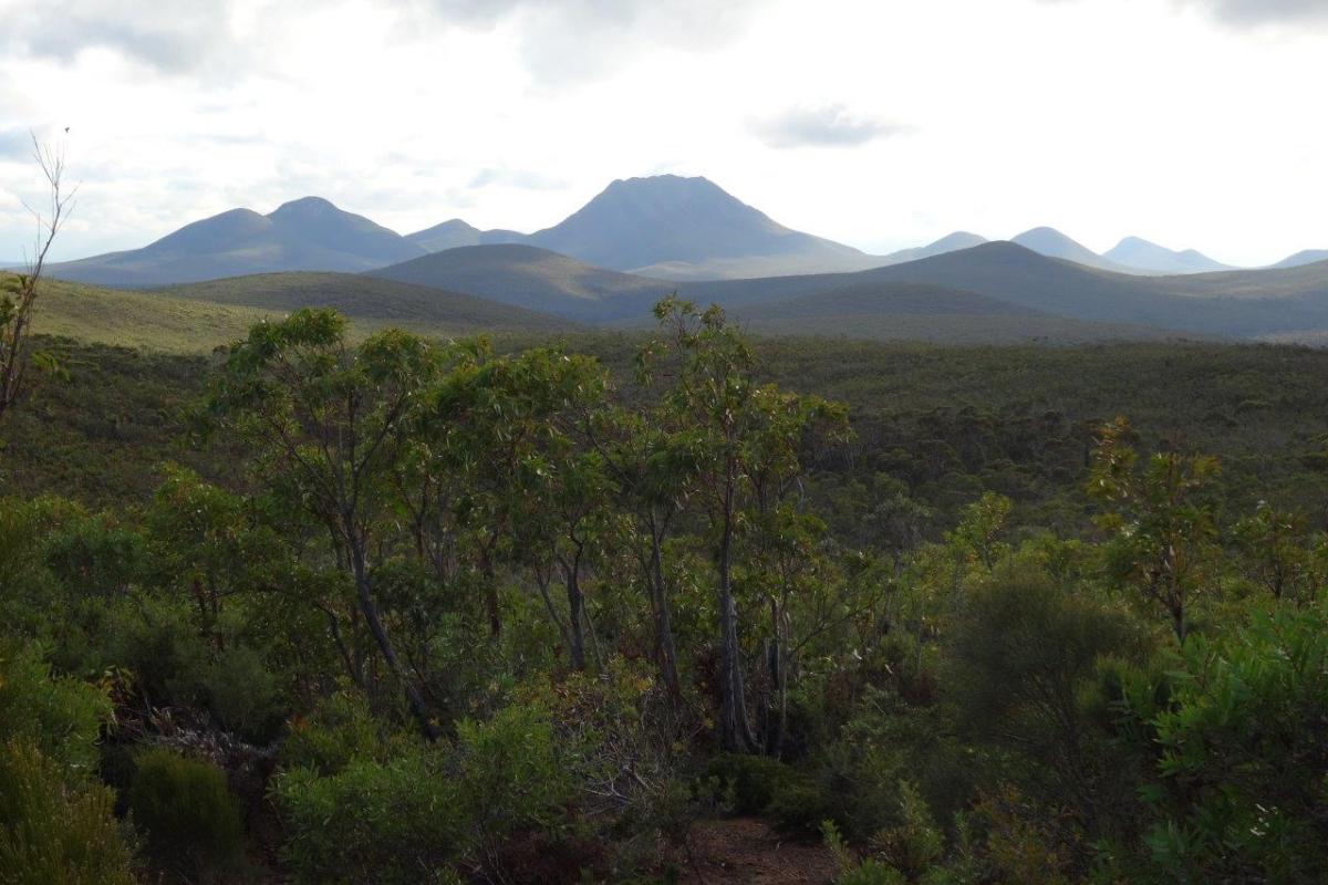 Looking to the central lookout of Bluff Knoll in the distance 