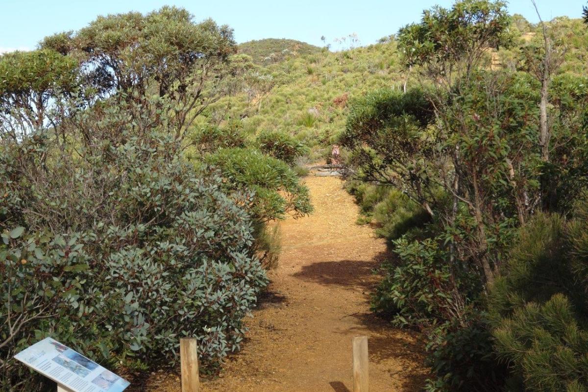 gravel path leading up to the lookout 