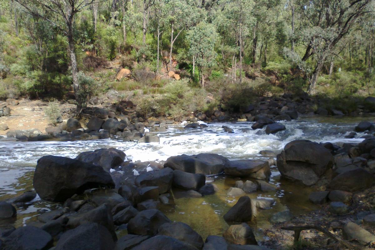 Chuditch camground at Lane Poole Reserve fast flowing river in lane poole reserve