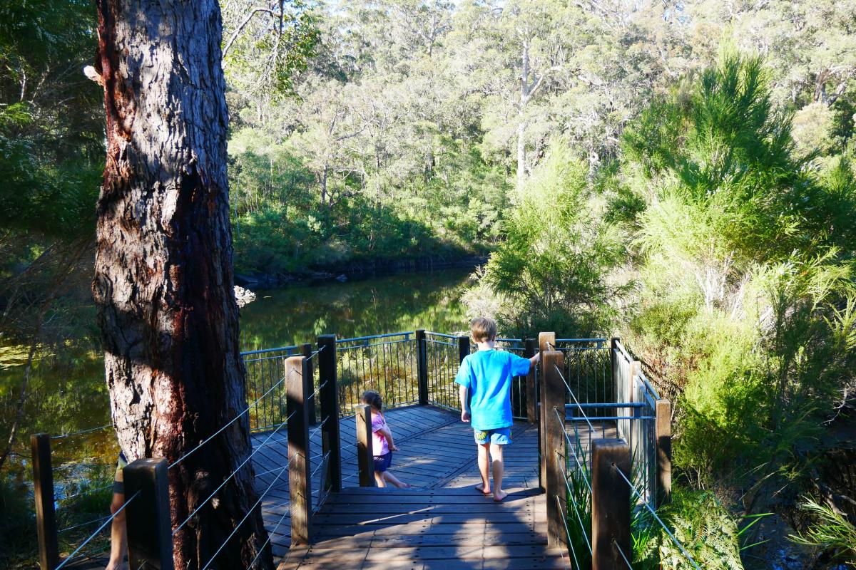 a boy wearing a bright blue t shirt walking down the path towards the river