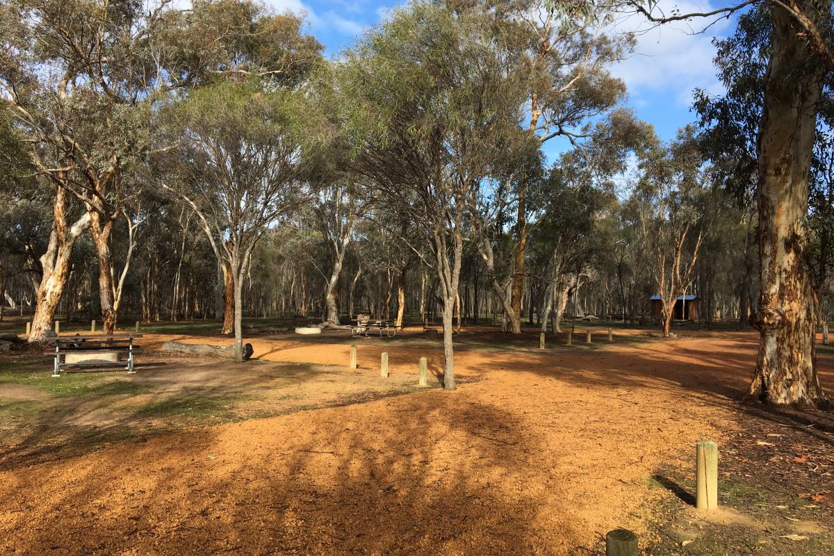 gravel road through the campground past picnic tables and fire rings in the woodland surrounds