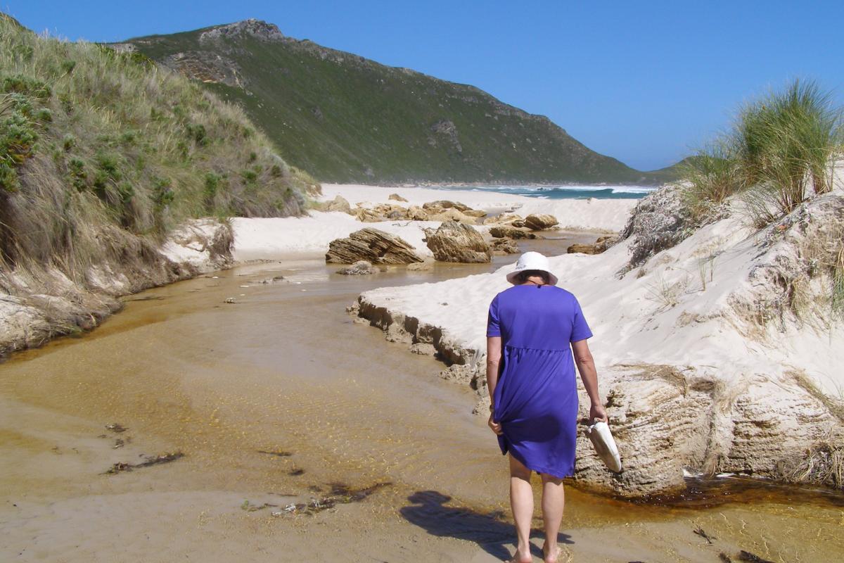 a lady in a purple dress is walking in the fresh water stream that flows out to the ocean