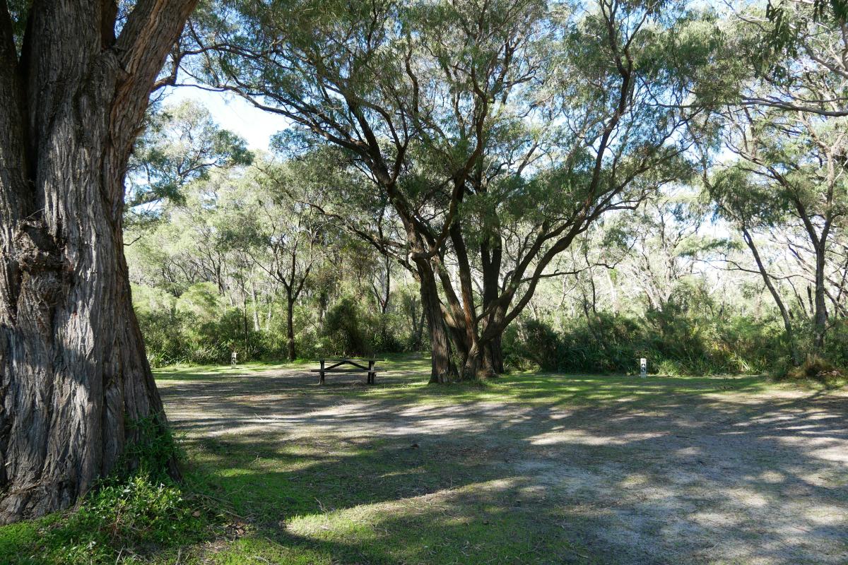 Picnic area and bbq under a canopy of shady trees