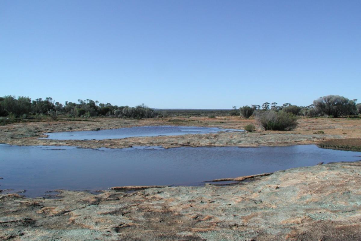 Diamond Rock Goldfields Woodlands National Park waterholes and granite surface of Diamond Rock