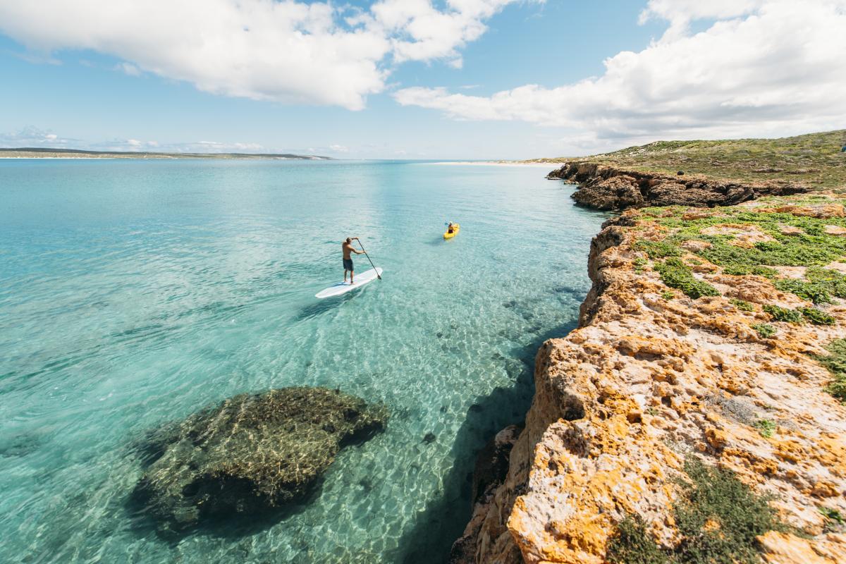 Couple paddling on kayak and stand up paddle board on clear green water at Dirk Hartog island