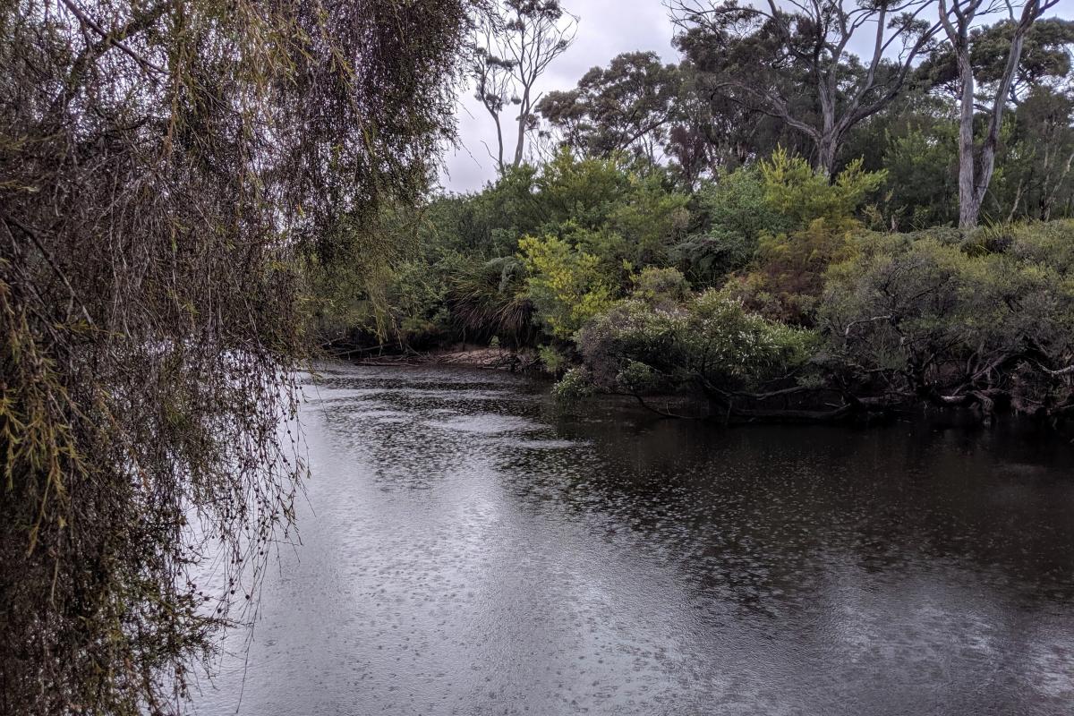 Donnelly River in the rain, viewed from the Donnelly Boat Landing