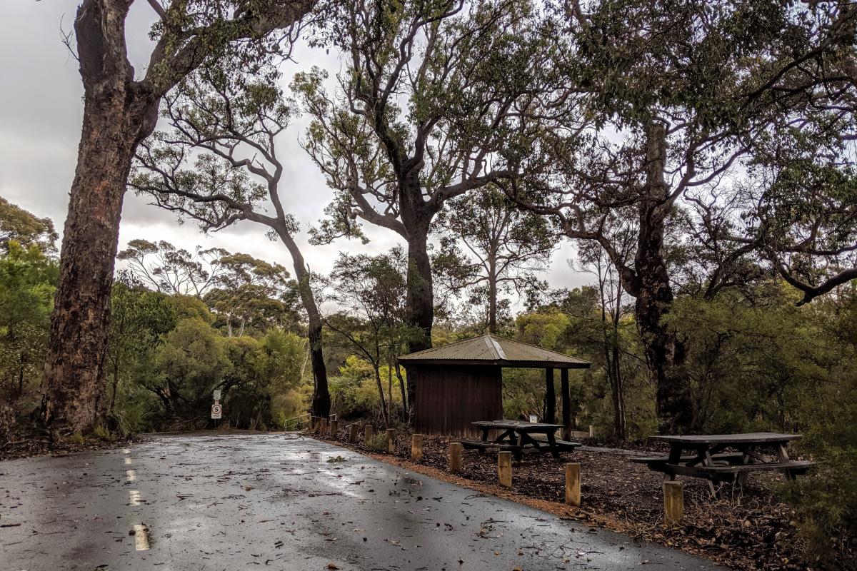 Road down to the boat ramp, shelter, and picnic benches in the rain beneath huge Marri trees at Donnelly Boat Landing