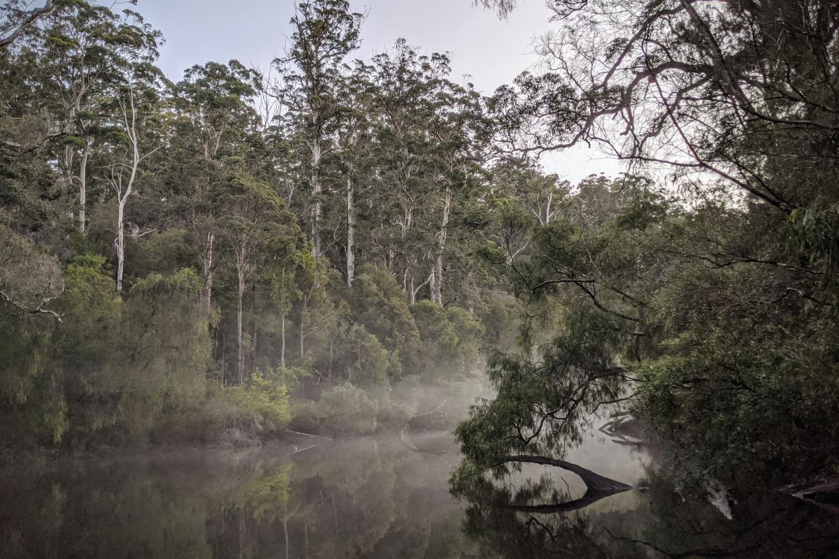 The Warren River near Draftys Campground late in the afternoon