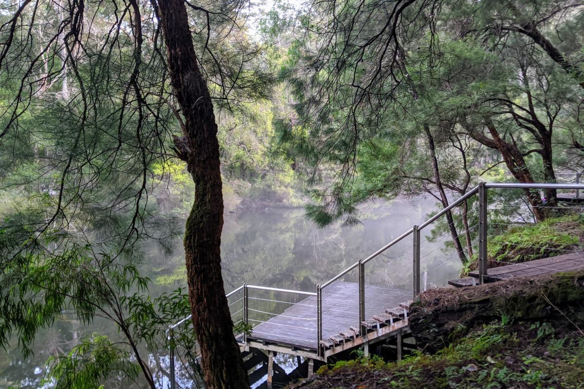 Steps down to the water at Draftys Campground on the Warren River