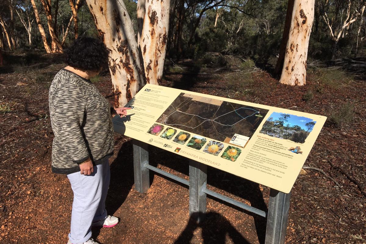 Dryandra Woodland walk trail. a person standing in front of a trail sign on the trail with trees in the background