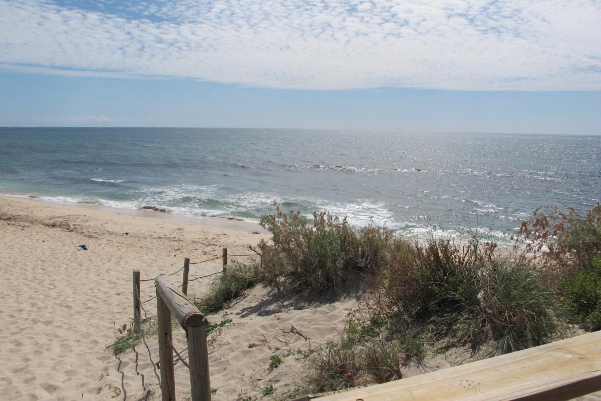 View of beach with waves, sand and fence protecting shrub