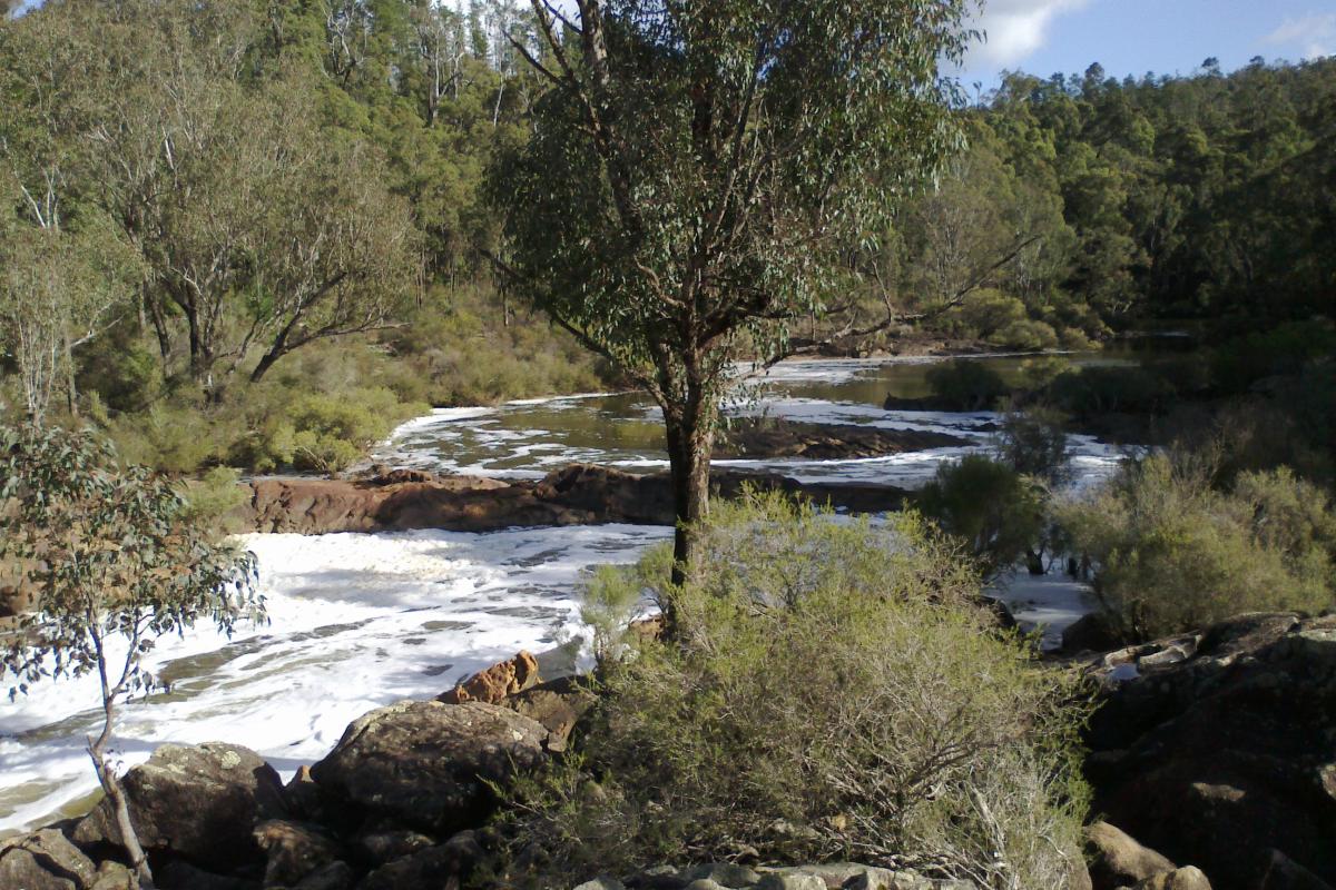 river flowing through rocky landscape and forest in the background