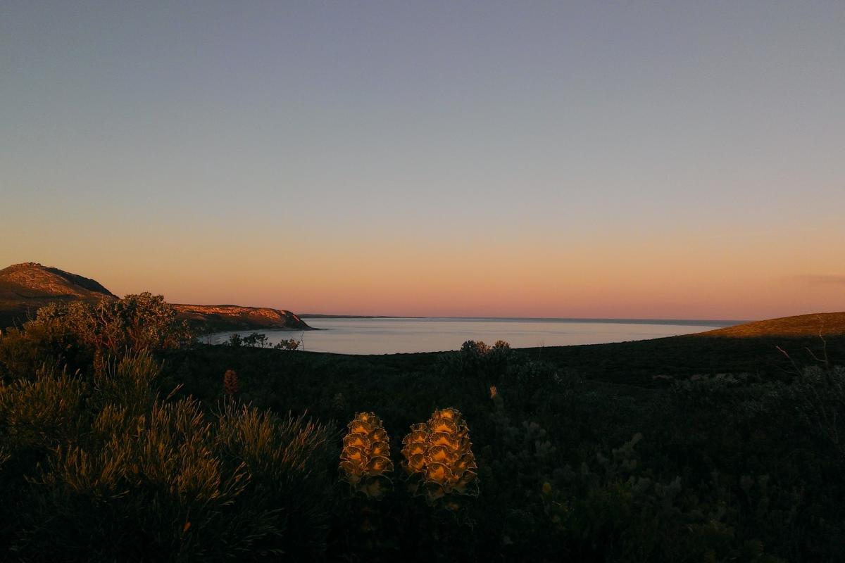 sunset view from East Mount Barren looking out to a sweeping bay and coastal cliffs