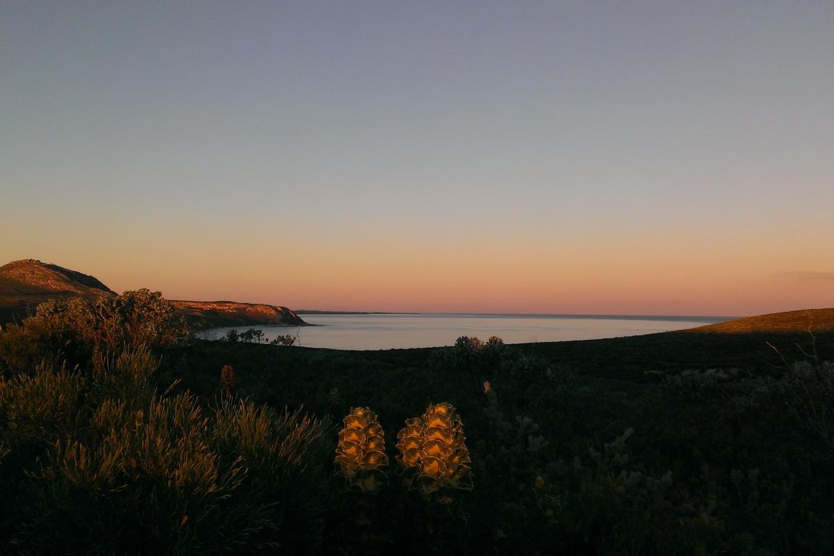 East Mount Barren Fitzgerald River National Park sunset view from East Mount Barren looking out to a sweeping bay and coastal cliffs