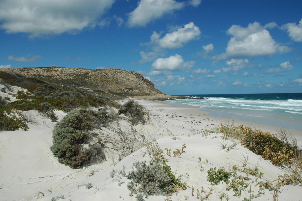 White sand dunes and rocky headland jut into the deep blue ocean.