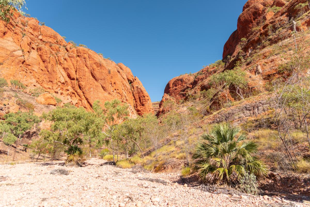 View of the trail into Echidna Chasm. 