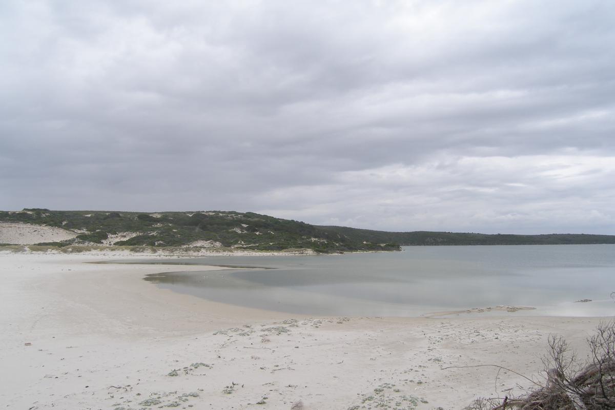 Calm water opening onto white sand beach with sanddunes covered in vegetation.