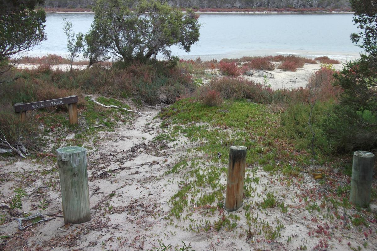 view of sandy walk trail leading down to still water with trees and low vegetation