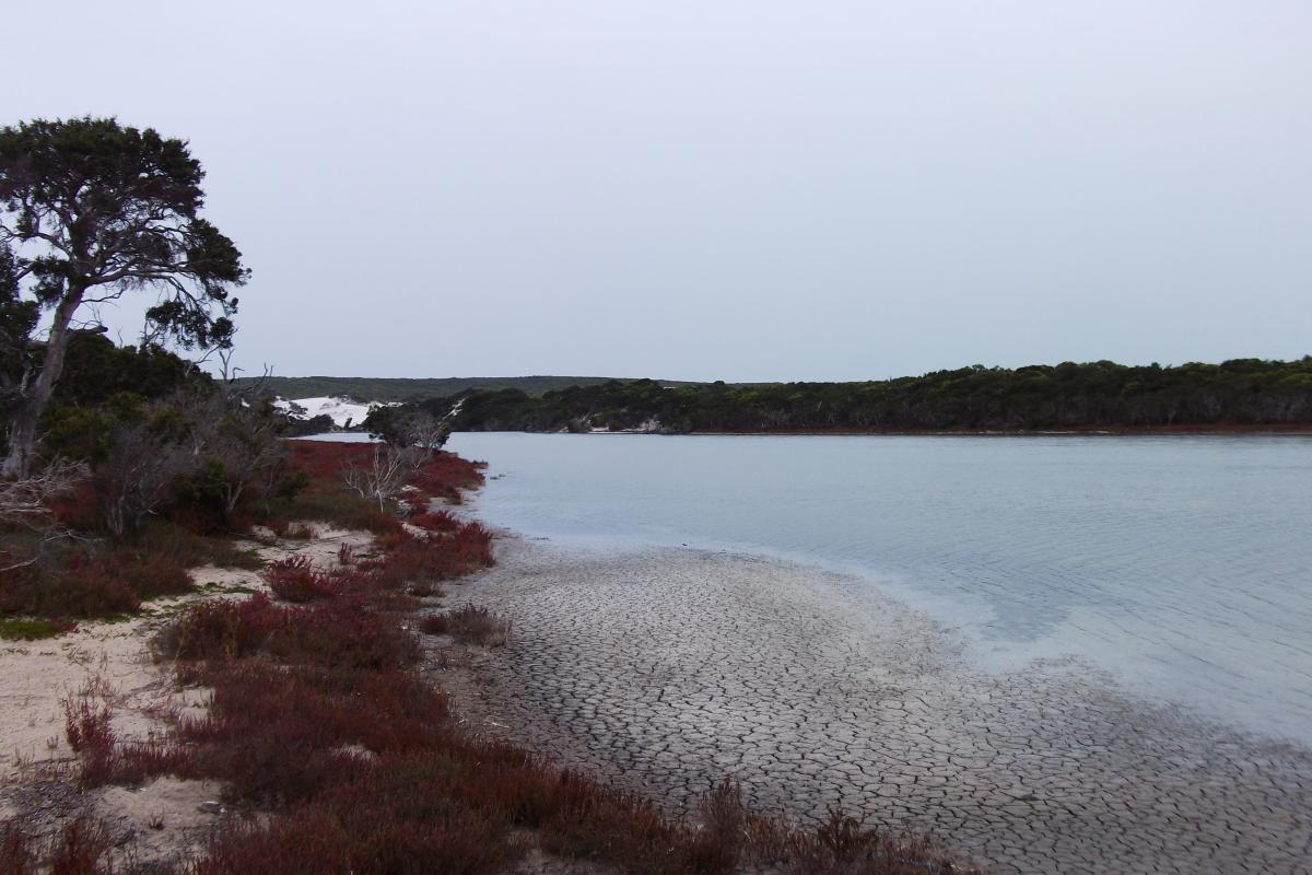 view of sand bank of beside still water of Fitzgerald Inlet with cracked caked earth visible in the foreground  