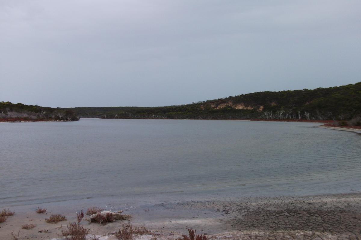 view from a sandy bank of the still water of Fitzgerald Inlet