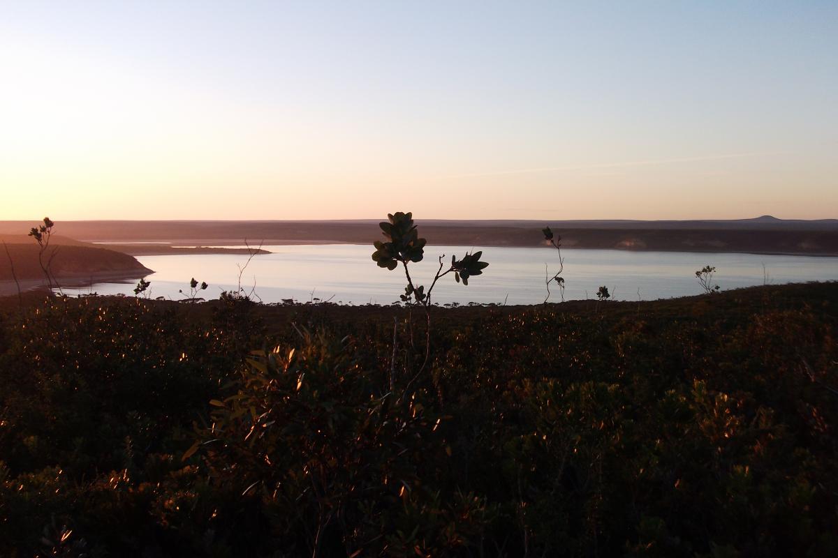 sunset view at Fitzgerald Inlet through low vegetation out to a body of still water and coastal landscape