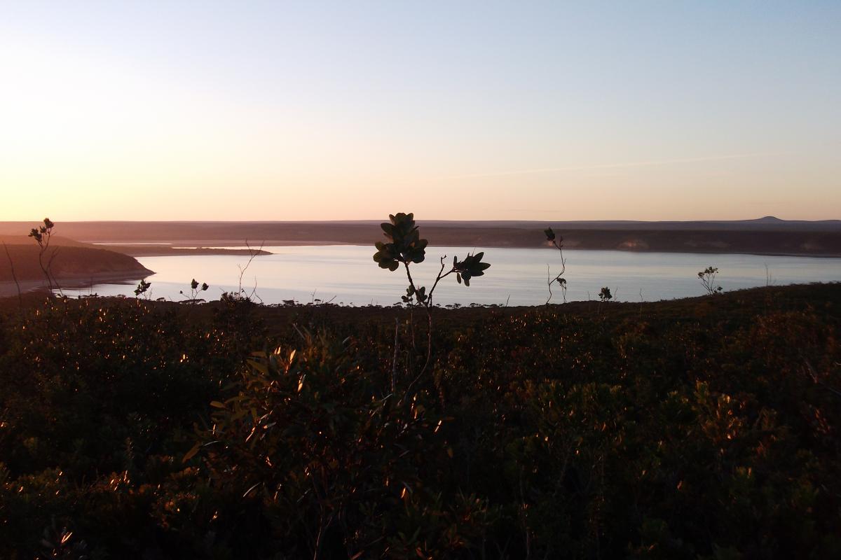 Fitzgerald Inlet Fitzgerald River National Park sunset view at Fitzgerald Inlet through low vegetation out to a body of still water and coastal landscape